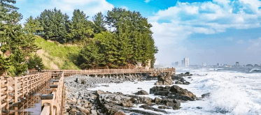 가을단풍 단풍버스 당일여행