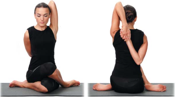 카우 페이스 자세