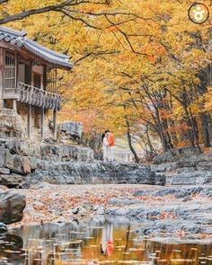 단풍이-우거지고-천년-사찰옆으로-흐르는-자연을-담은-계곡물