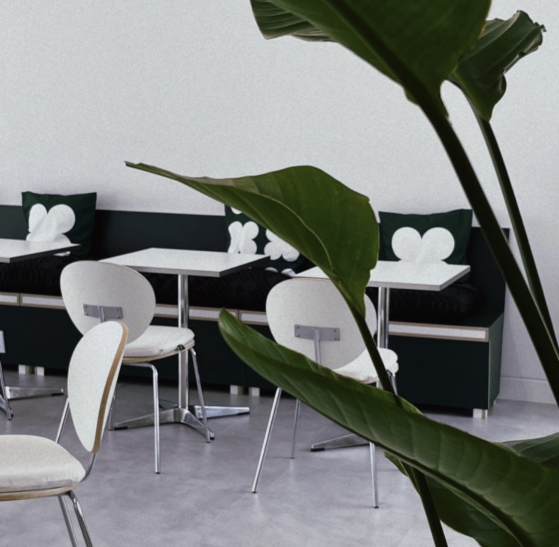 노룩카페 내부사진(출처: 업체 대표사진)