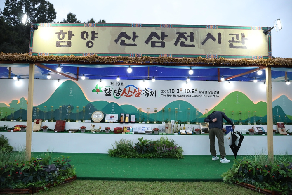 2025 함양산삼축제 리뷰 &ndash; 천년의 산삼을 체험할 최고의 가을 여행!