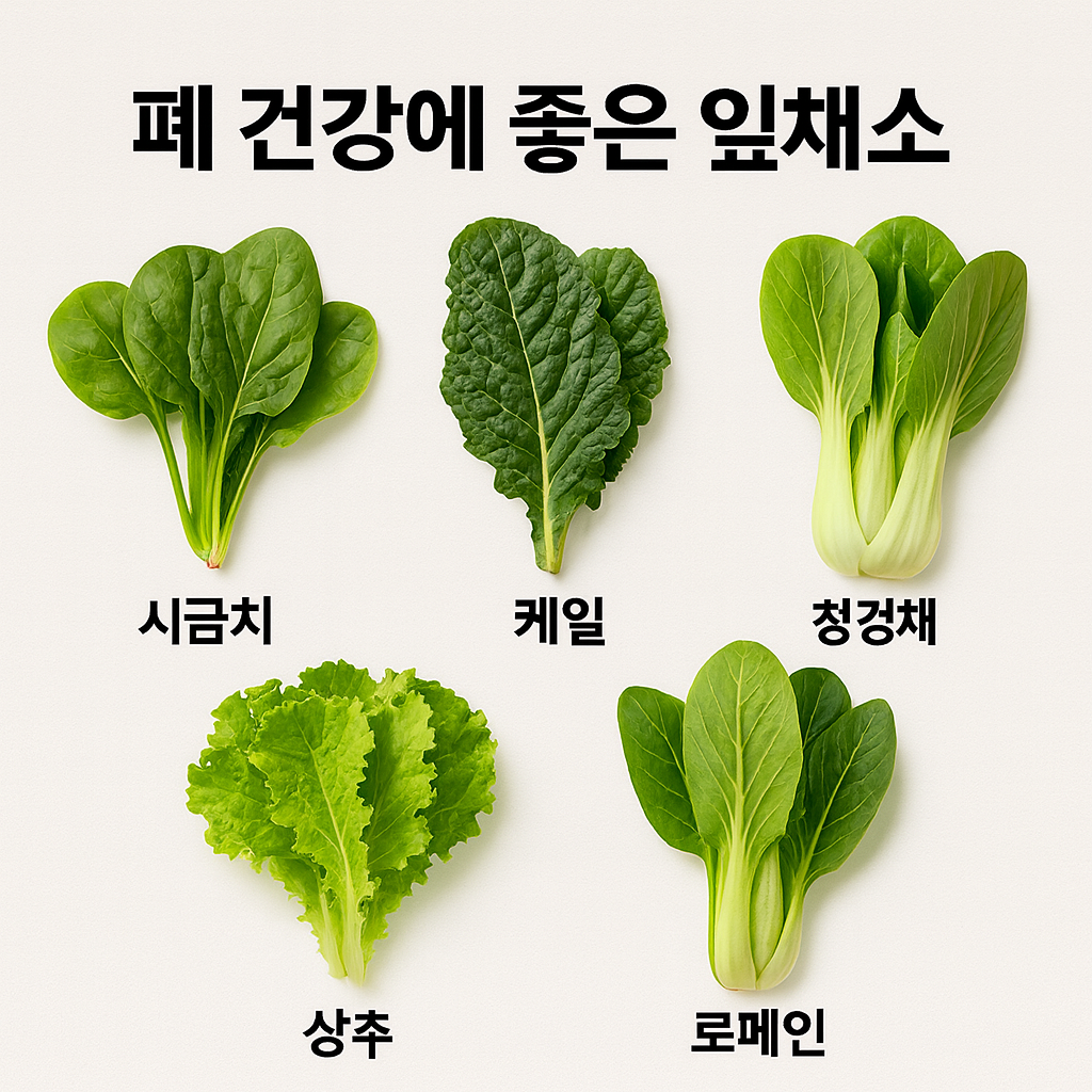 폐 건강에 좋은 잎채소