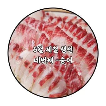 6월 제철회 종류별 신선한 해산물의 맛있는 향연_21