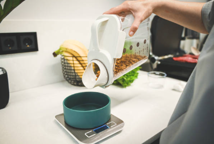 automatic pet feeder portion control