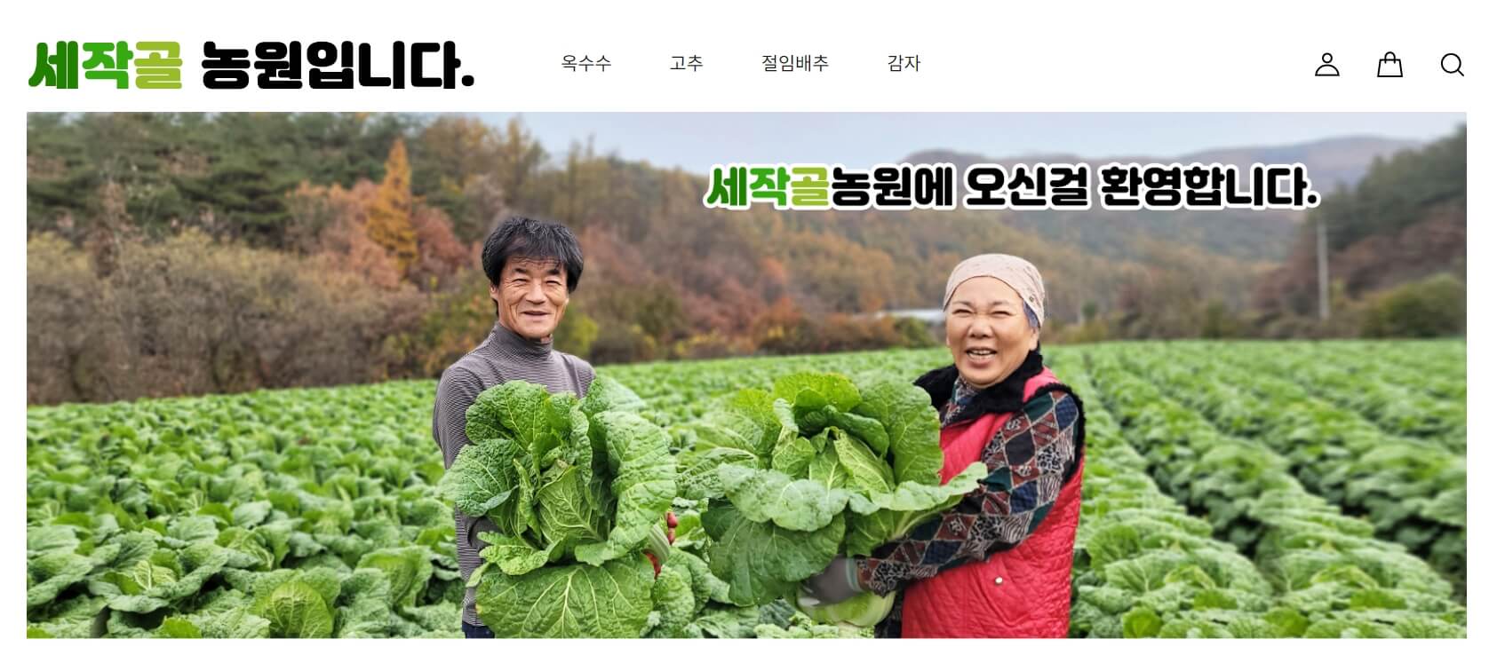 괴산 절임배추20kg