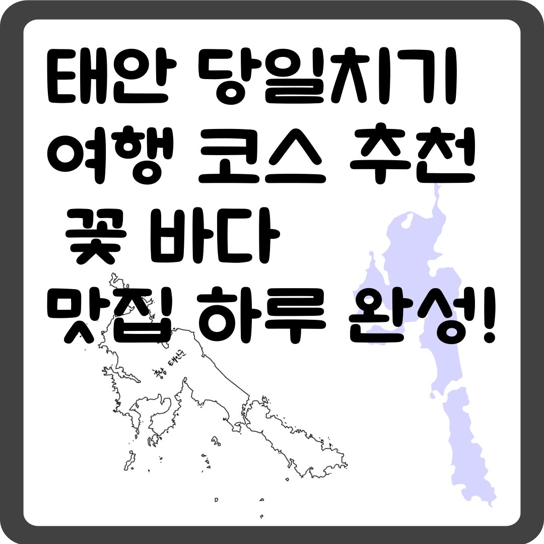 태안 당일치기 여행 코스 추천