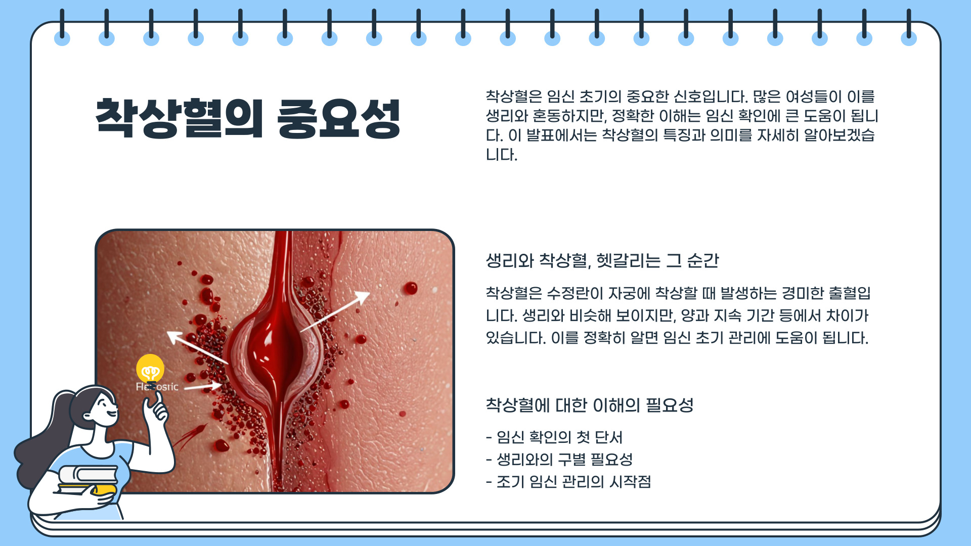 착상혈