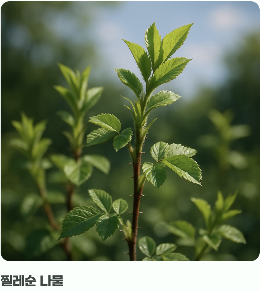 꽃 지고 난 뒤의 선물, '열매와 활용'