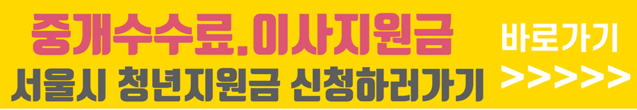 중개수수료 이사비지원 서울 청년 지원금