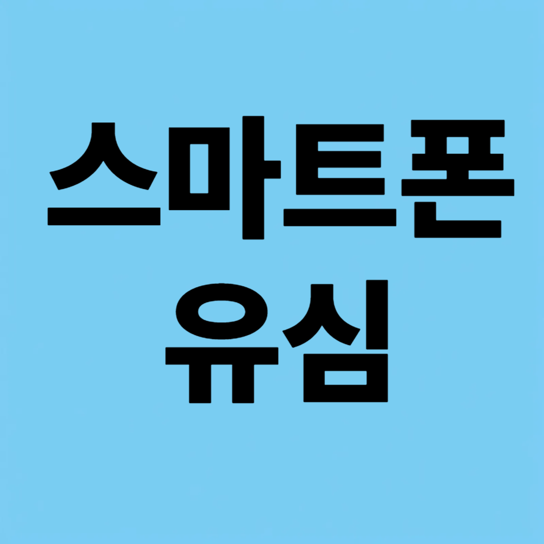 스마트폰 유심