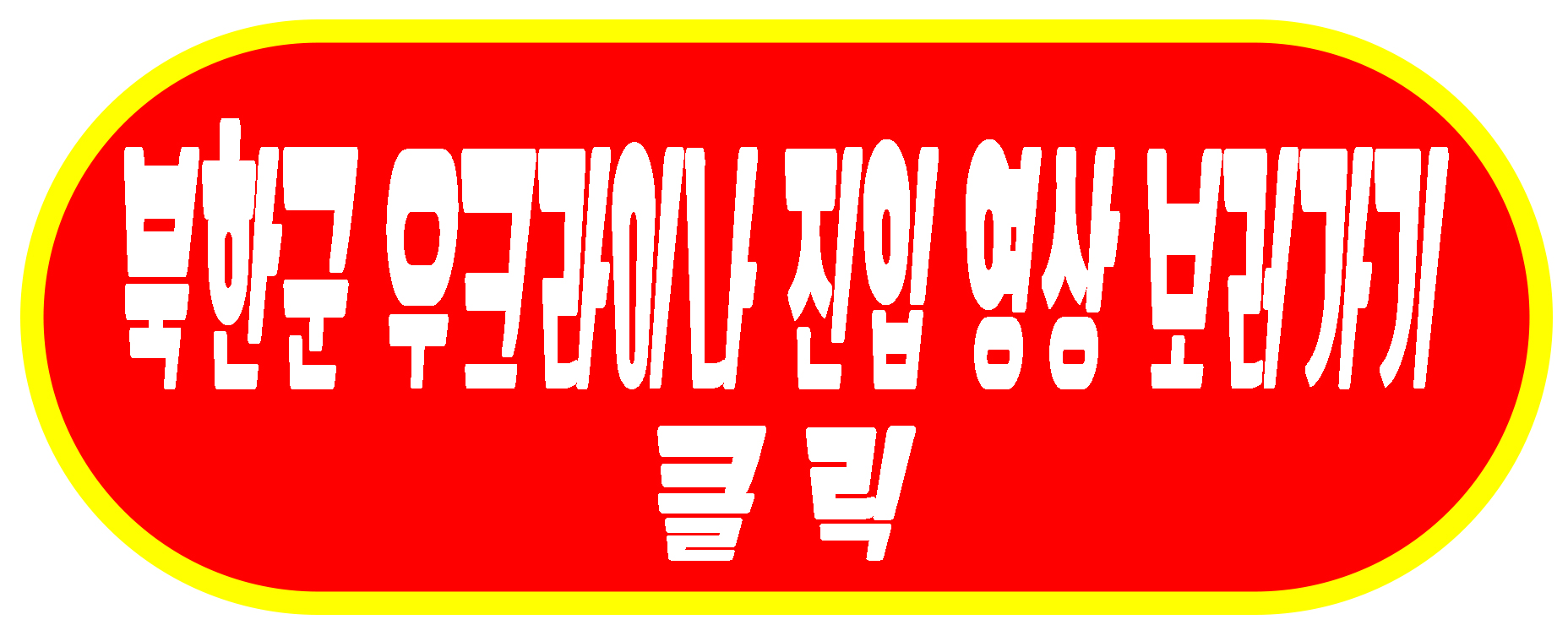 우크라이나 진입