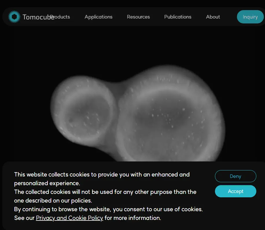 10월 공모주 기업 최종 공모가