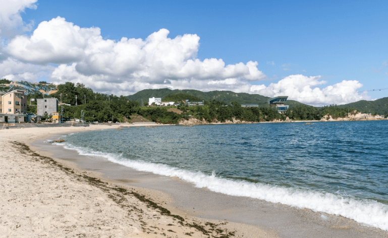 2024 강원도 해수욕장 개장일