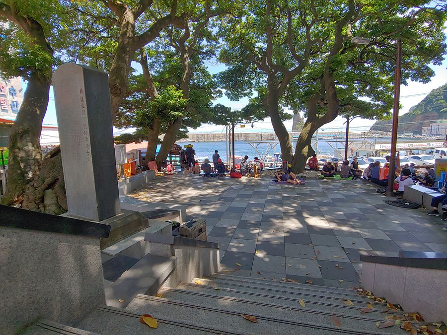 울릉도 저동 관해정에 있는 후박나무들과 박의장각하기념비