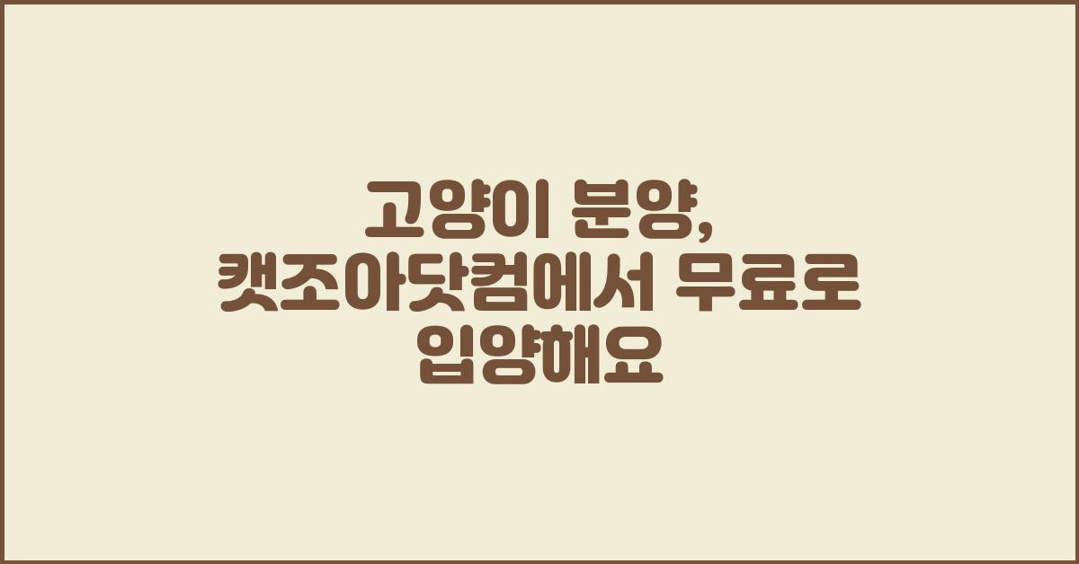 고양이분양 무료분양 캣조아닷컴