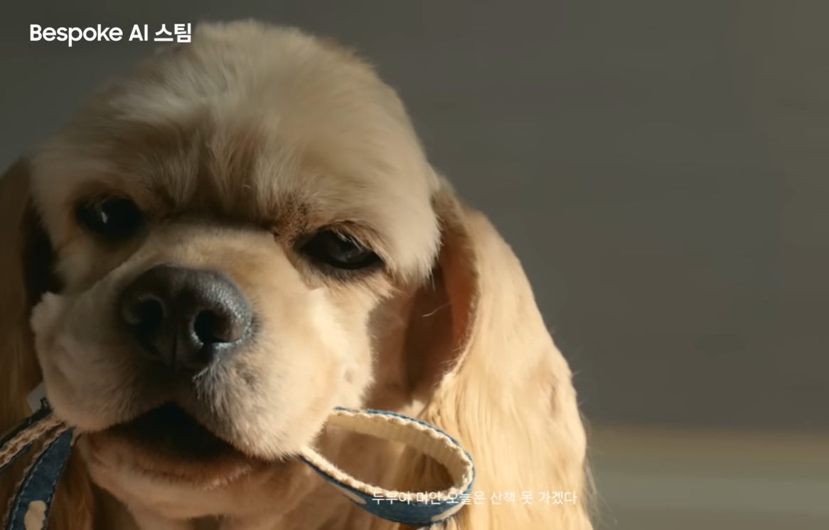 삼성전자 Bespoke AI 광고에 등장한 아메리칸 코카스파니엘 '두부' &mdash; 신혼부부의 고민을 해결해주는 해결사로 등장