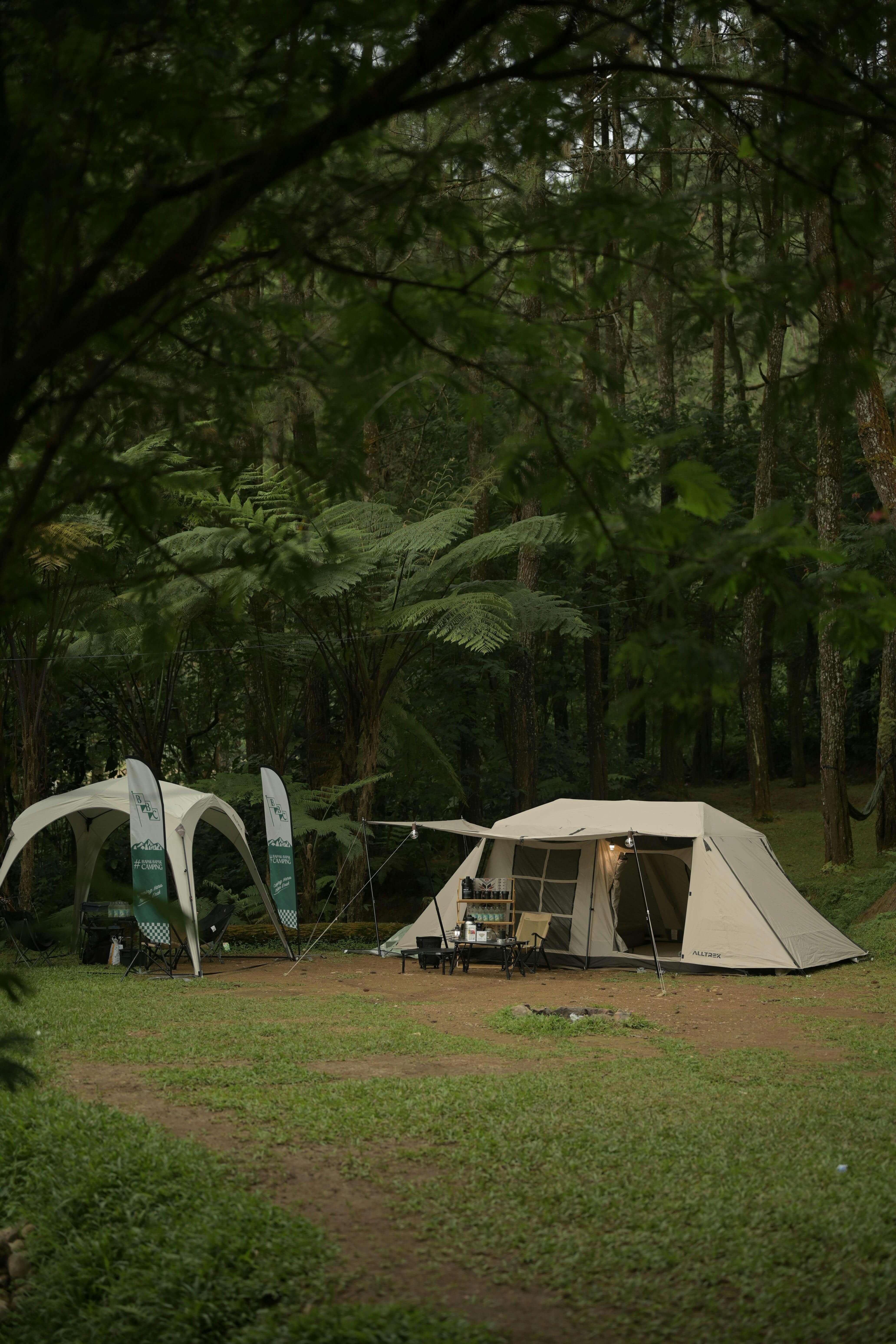 국립화천숲속야영장
