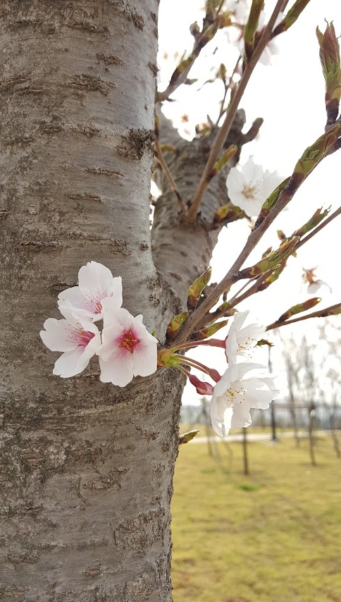 통영에서 맨발 걷기 좋은 장소