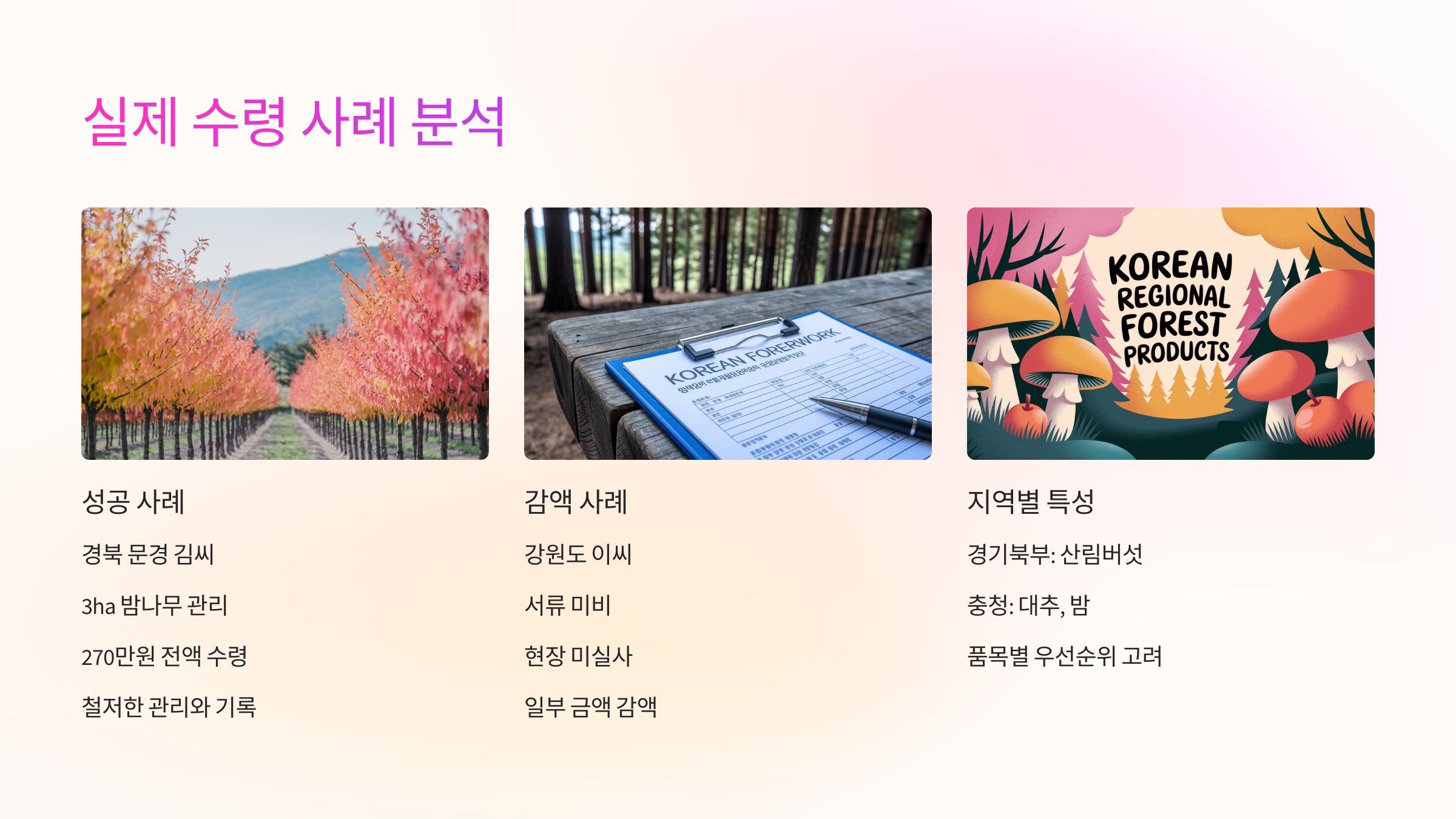 🧾 실제 수령 사례 분석