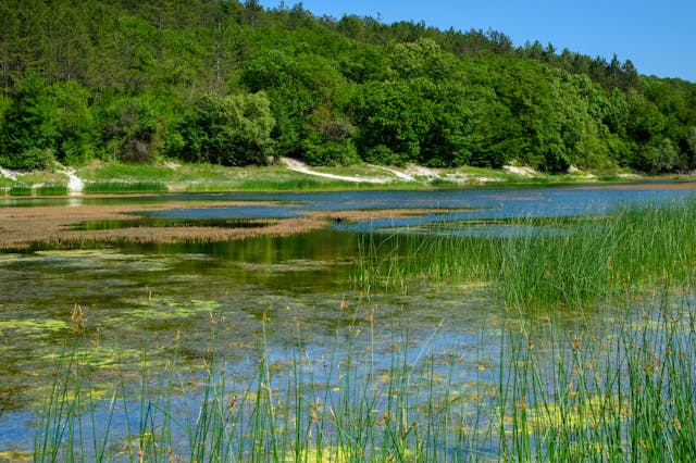 날씨 맑음 하천 모습