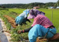 농민수당 신청자격 확인 및 지급 신청