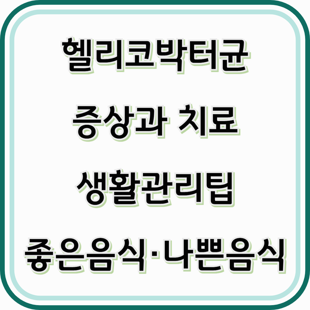 헬리코박터균 증상과 치료 관리 방법(검사방법과 전염)