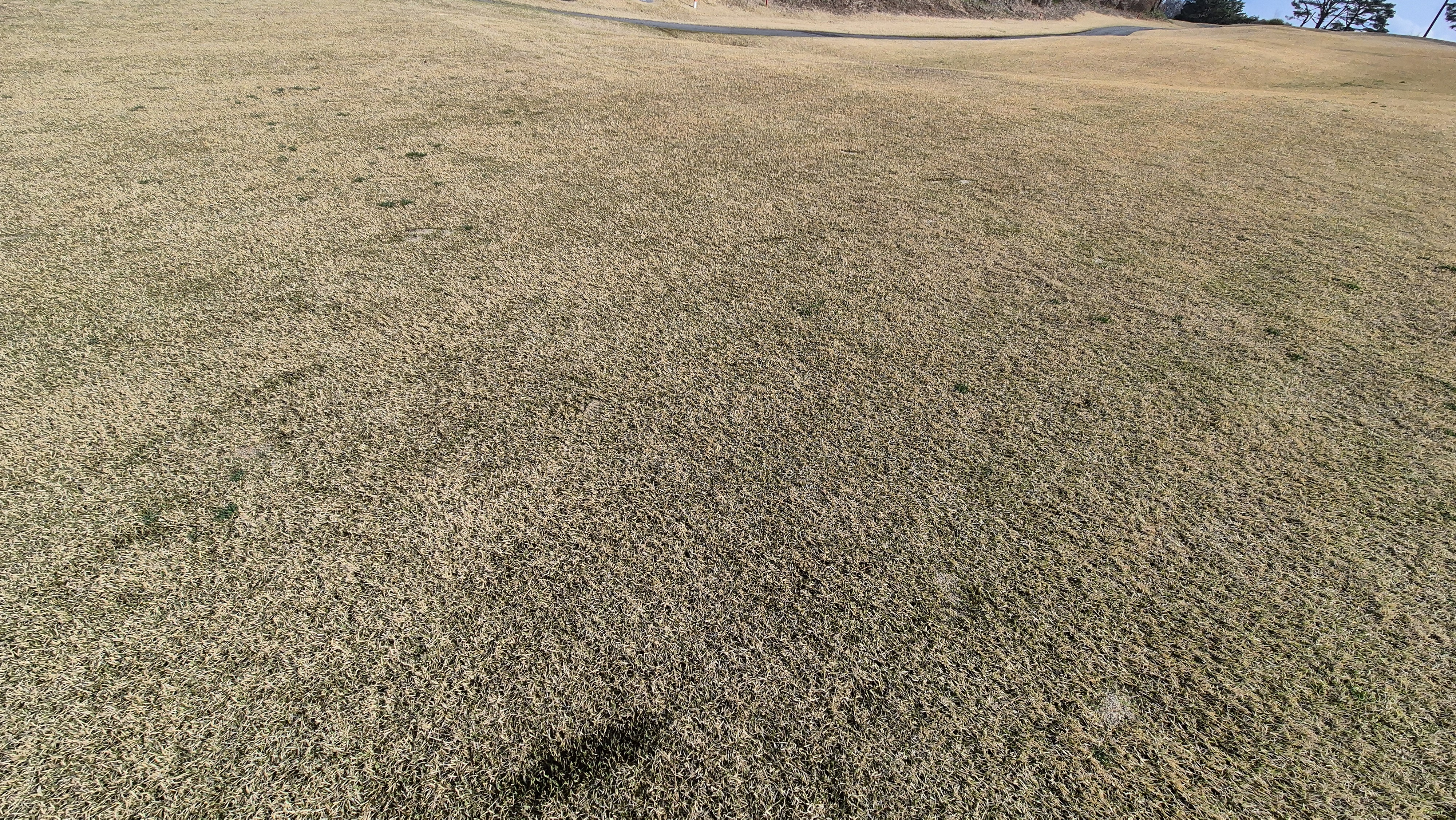 안성베네스트gc 동-남 코스 라운드 후기