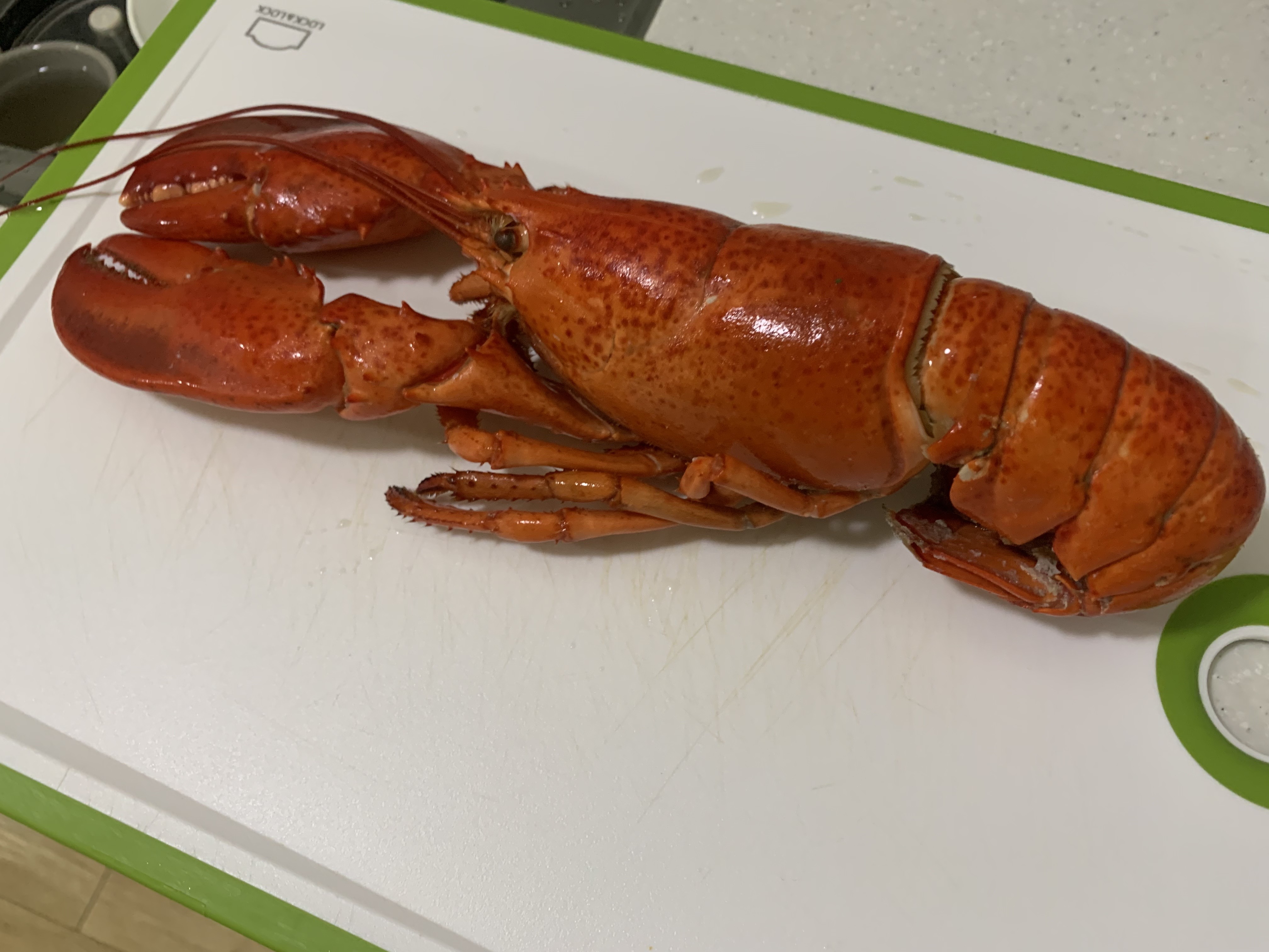 코스트코 랍스타 바스킷