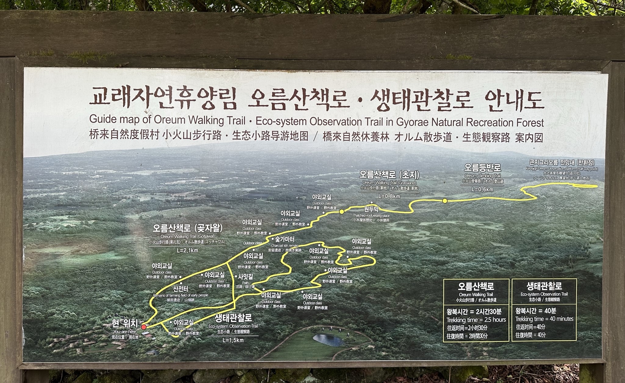 휴양림 안내도