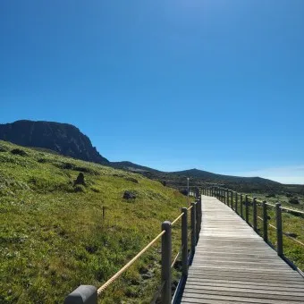 한라산 등반코스 쉬운코스 추천_24
