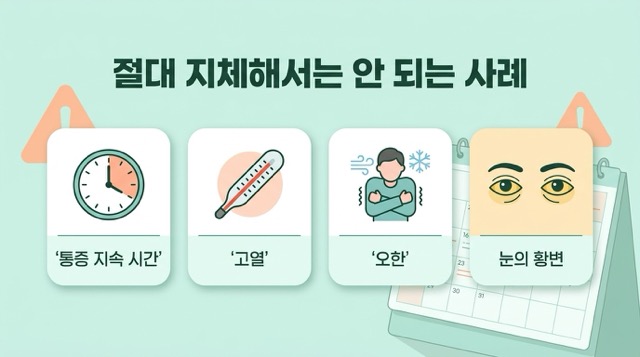 담낭염 응급 신호 지속 통증 열 오한 구토 황달