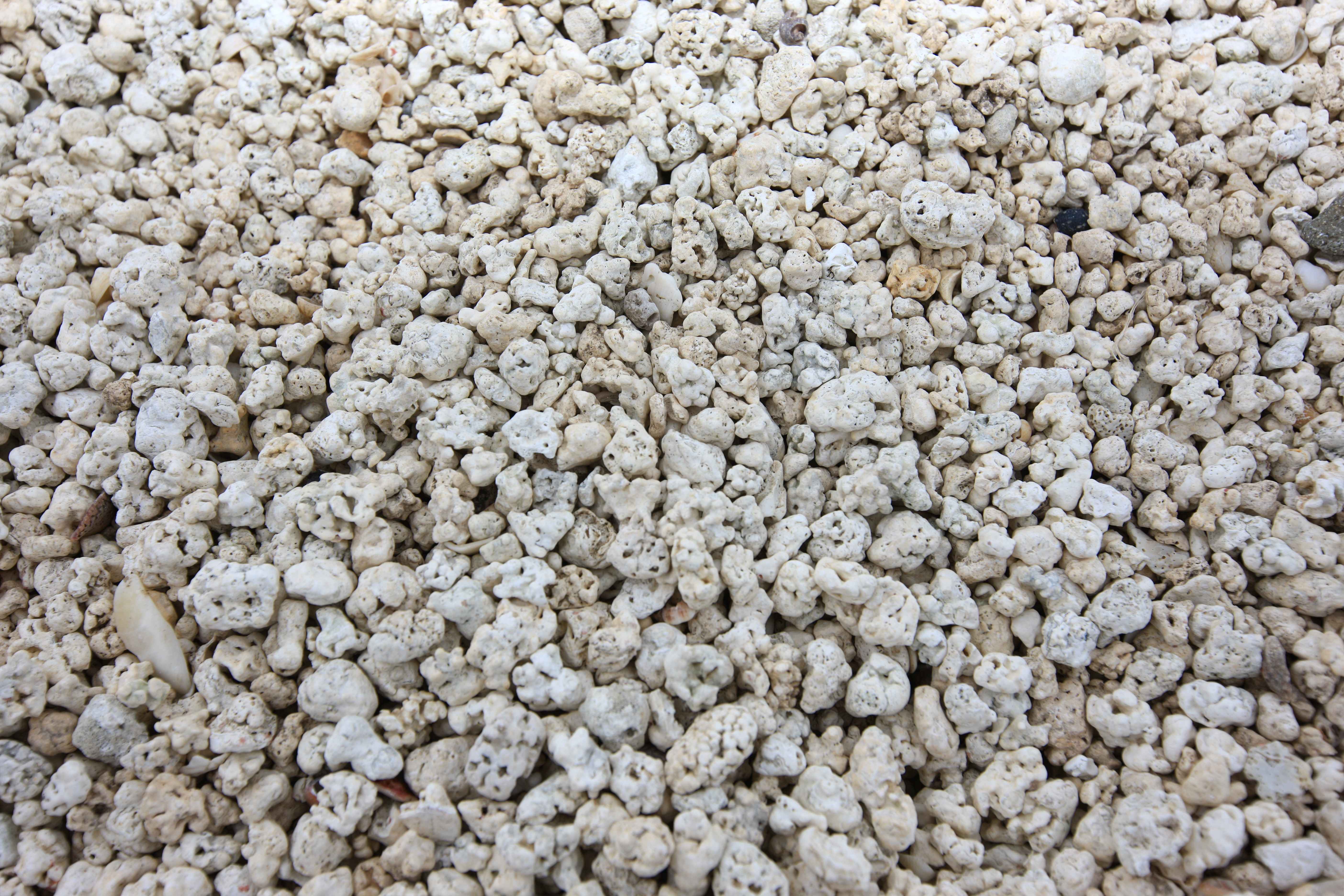 제주 우도 서빈백사해수욕장 사진