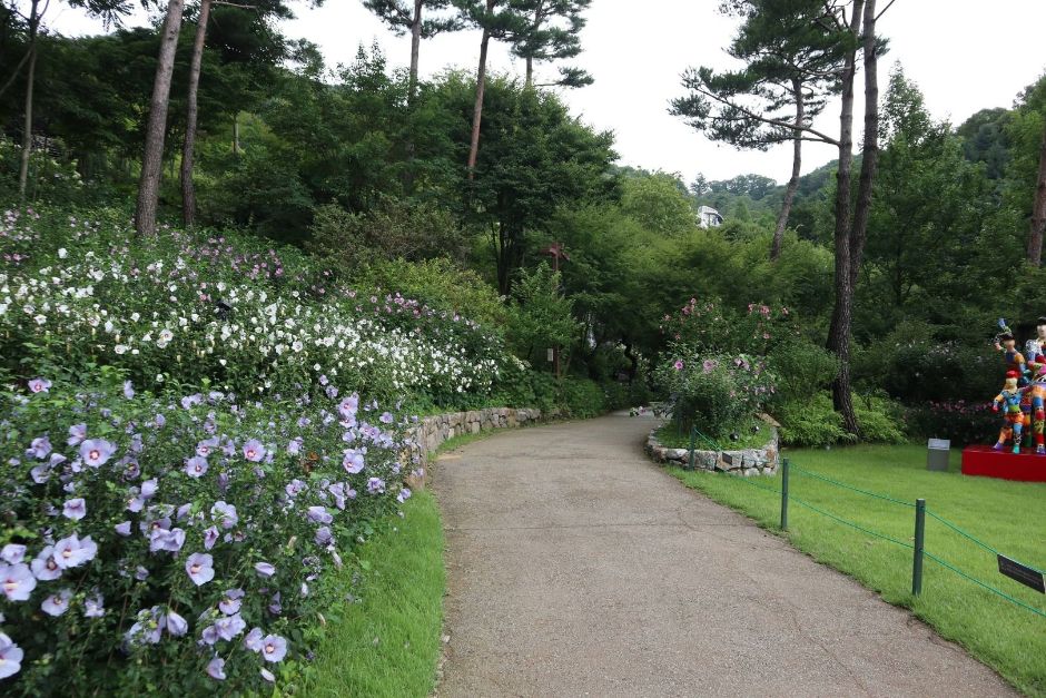 서울 근교 힐링여행 화담숲🌿예약 방법
