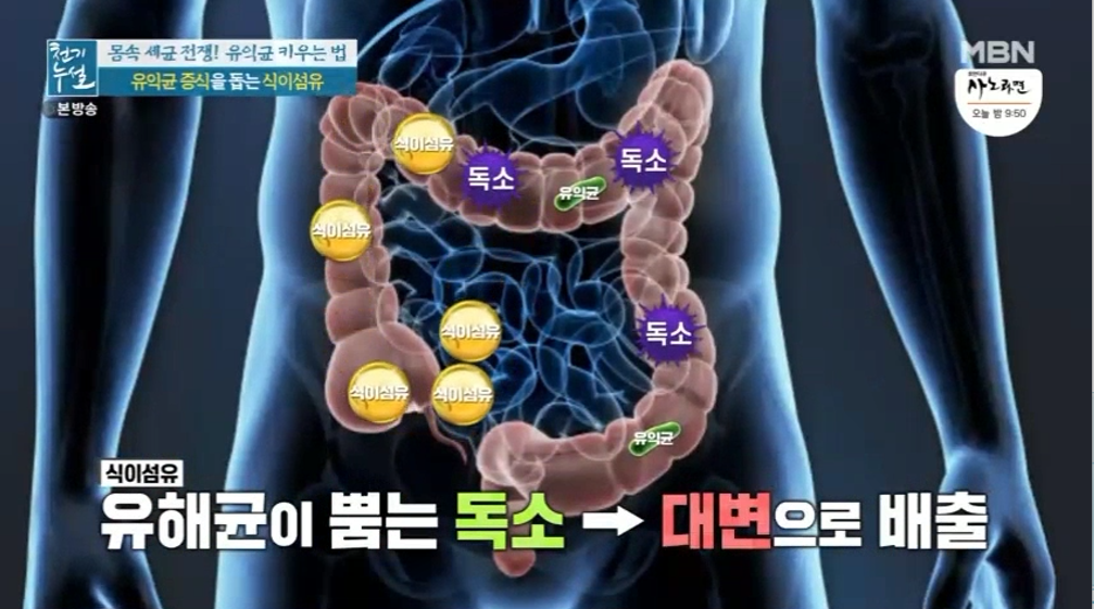 대추 사과대추 효능 대추차 생대추 건대추 고르는법 칼로리 보관법