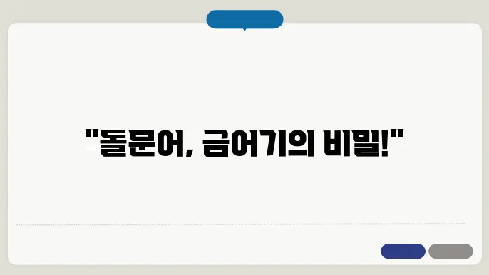 돌문어 금어기