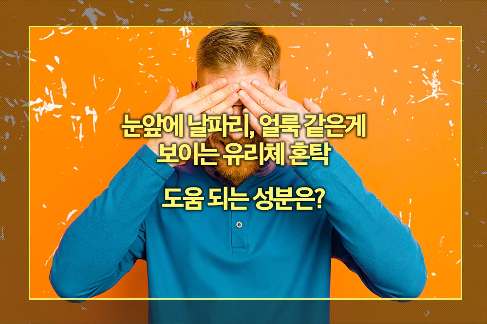 유리체 혼탁 도움 되는 성분