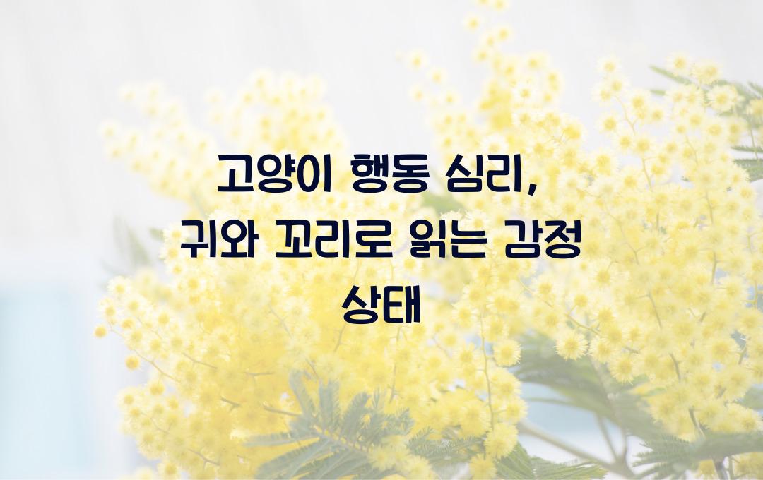 고양이 행동 심리, 꼬리와 귀 움직임으로 알아보는 감정 상태