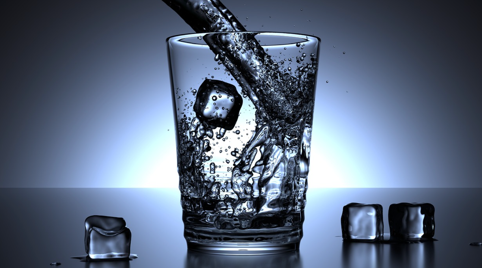 수분과 관련된 사진