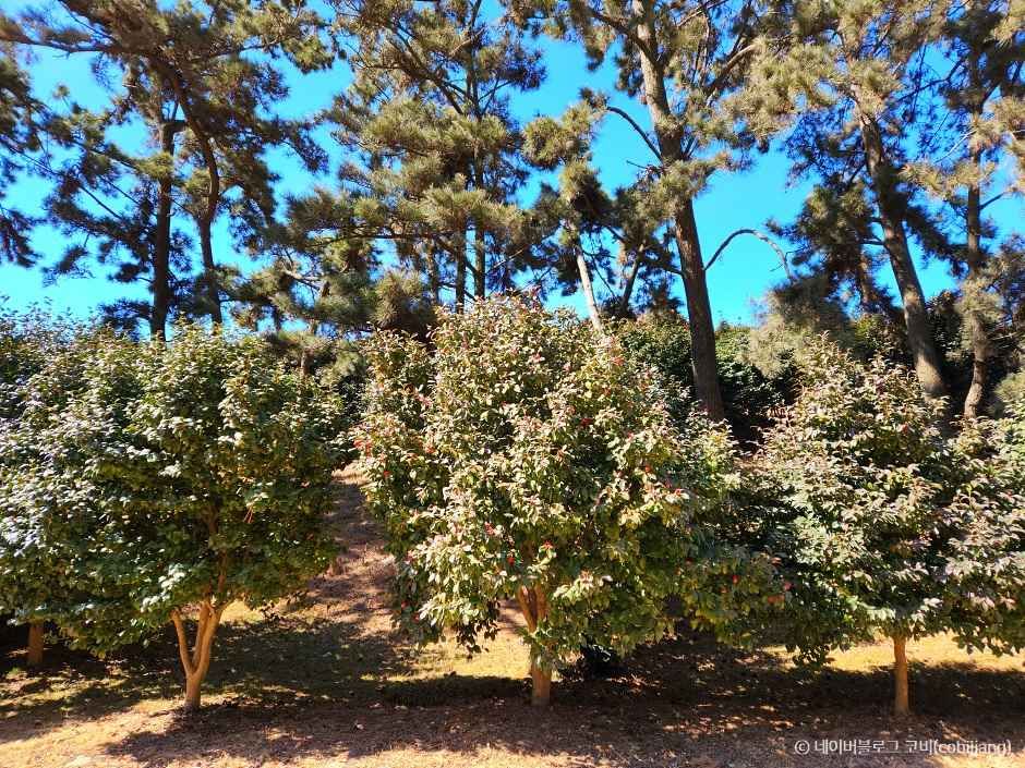 서천 가볼만한곳 베스트10