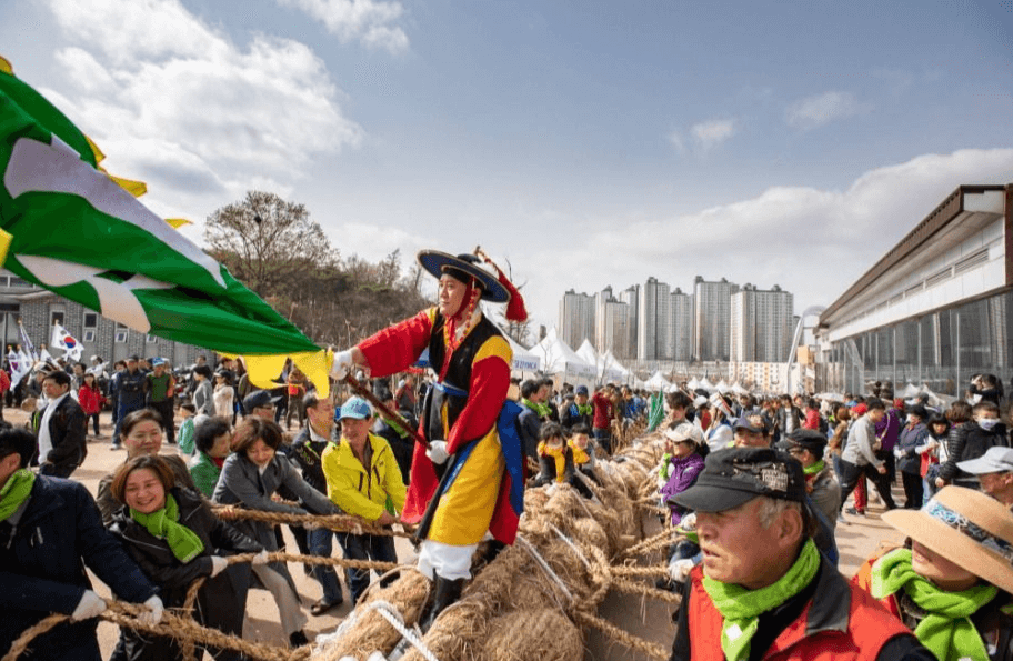 2025 기지시줄다리기축제: 500년 전통의 거대한 협동 문화