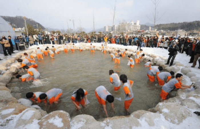 평창송어축제 일정 및 장소, 주요 프로그램, 가격 정보