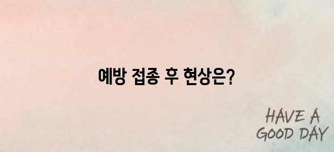 파상풍 예방 부작용 대해서 알아보자