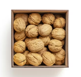 황반변성에 좋은 음식 영양제 식단