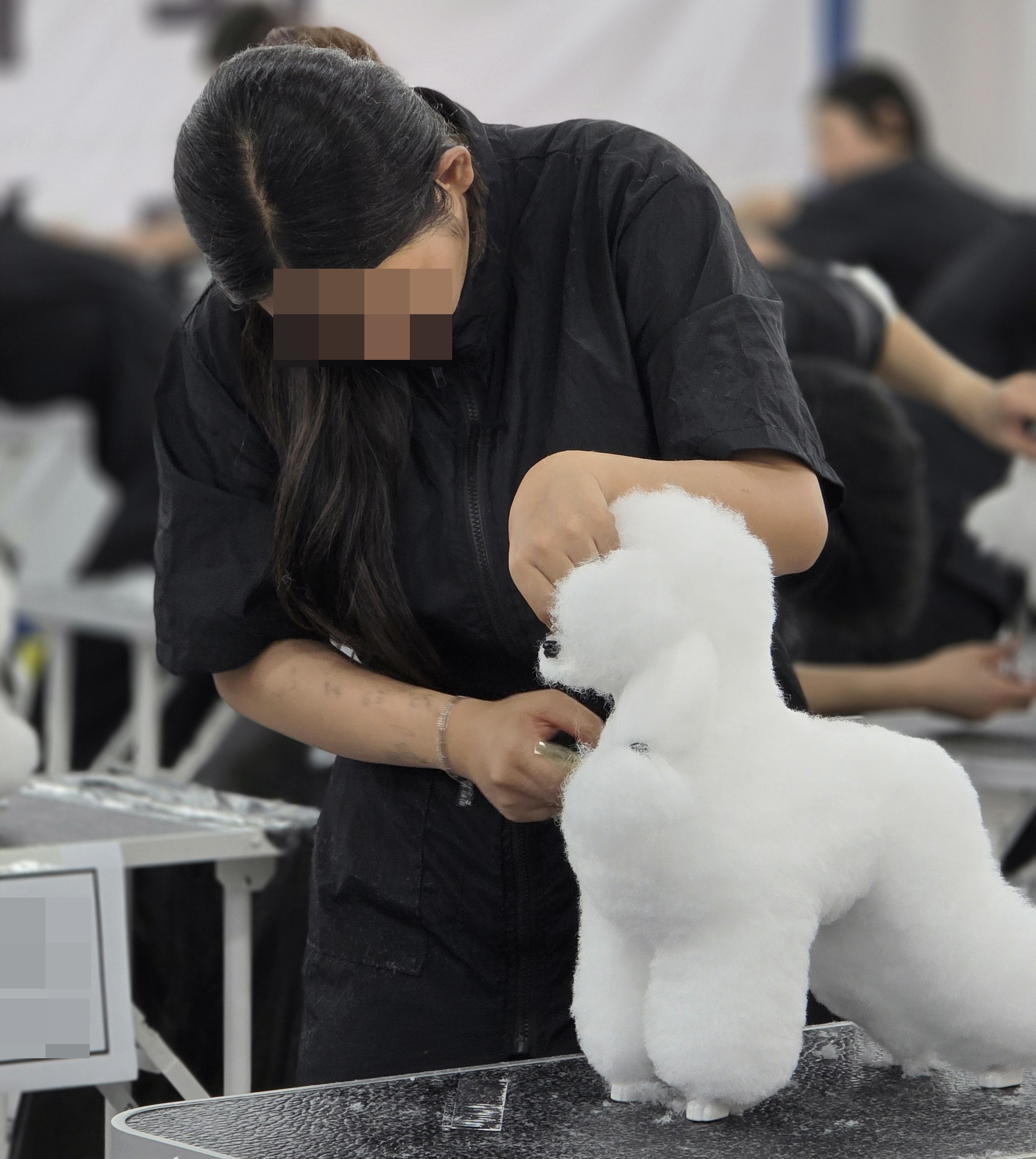 애견미용사자격증추천