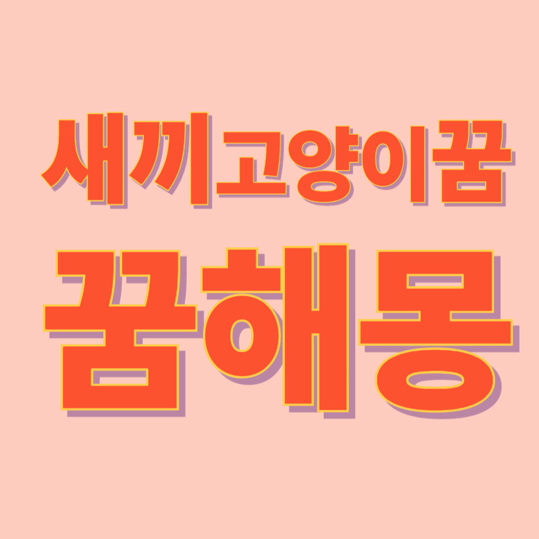 새끼 고양이 꿈 해몽
