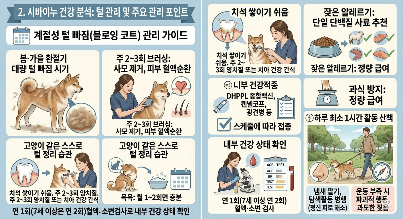 시바이누 건강분석 - 텉 관리 및 주요관리 포인트