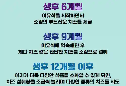 아기 치즈 섭취 시기별 요약 이미지