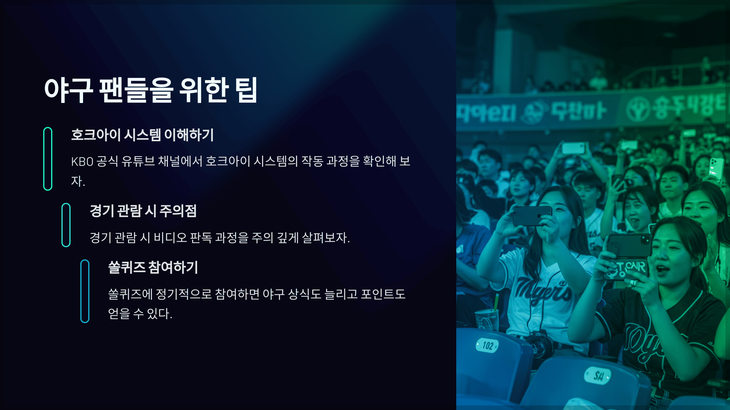 야구 팬들을 위한 팁