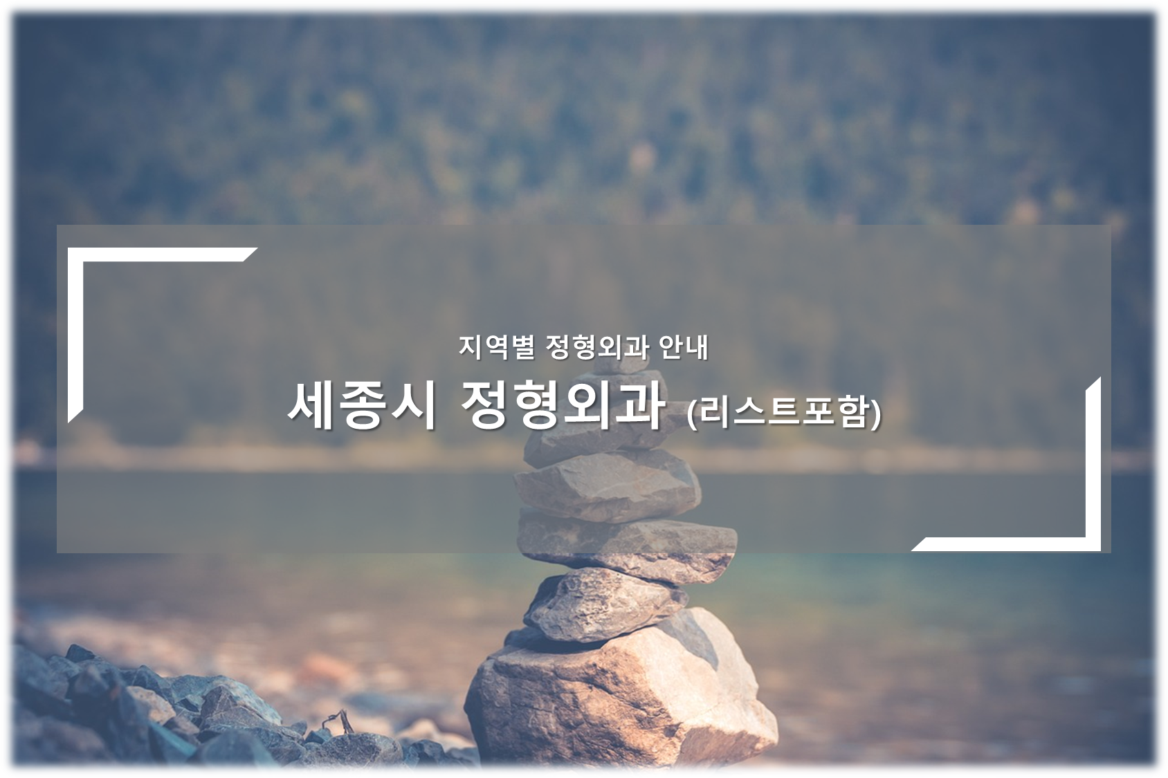 세종시 정형외과의원 안내