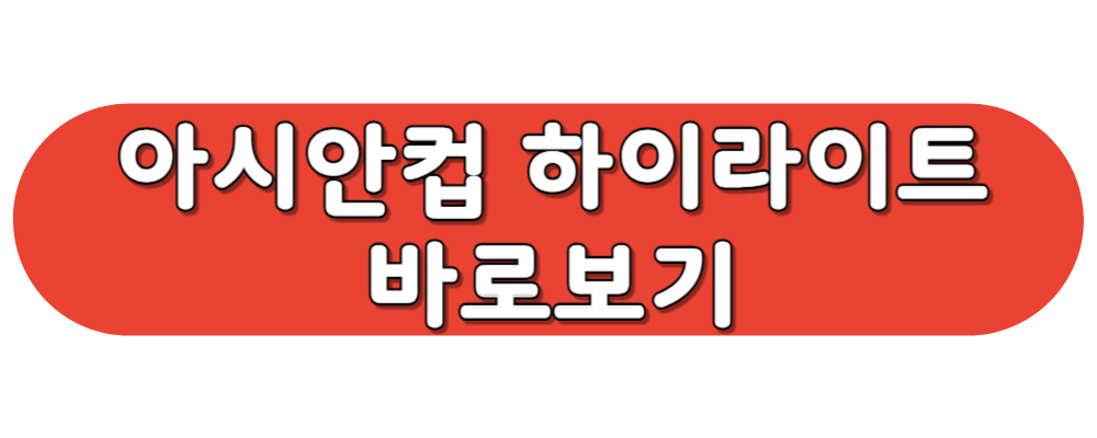 아시안컵 하이라이트 영상 바로보기